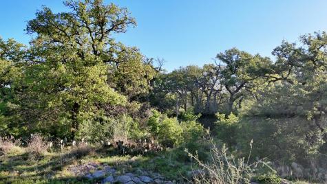 Tbd Madden Ranch Road Llano TX 78643