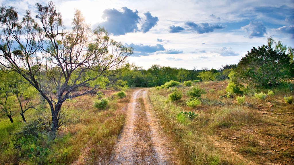 6253 County Road 121 San Saba TX 76877