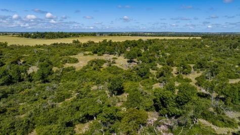 875 Gypsum Mine Road Fredericksburg TX 78624