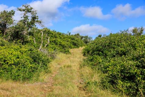 875 Gypsum Mine Road Fredericksburg TX 78624