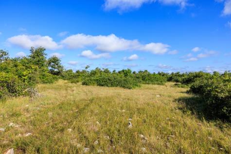 875 Gypsum Mine Road Fredericksburg TX 78624