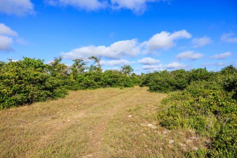 875 Gypsum Mine Road Fredericksburg TX 78624