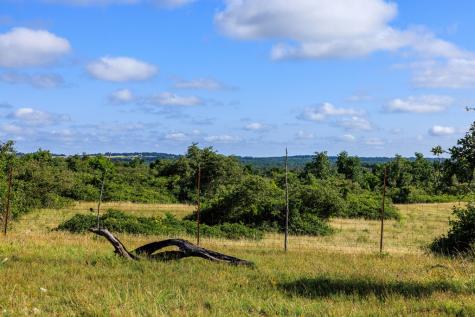 875 Gypsum Mine Road Fredericksburg TX 78624