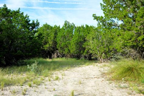 22874 Ranch Road 385 Harper TX 78631