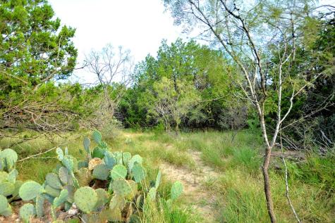 22874 Ranch Road 385 Harper TX 78631