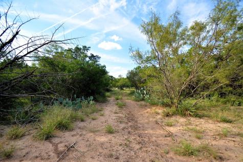 22874 Ranch Road 385 Harper TX 78631