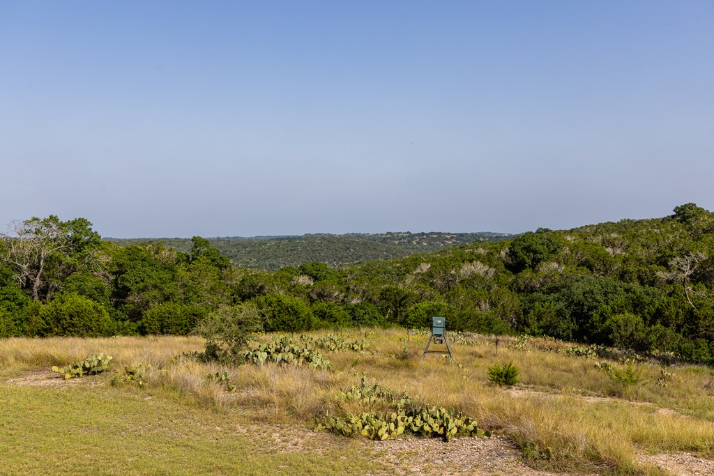 174 Cedar Rock Trail Hunt TX 78024