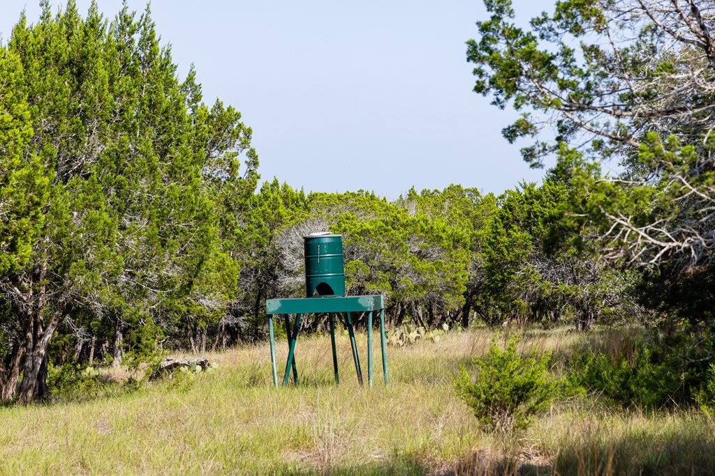 174 Cedar Rock Trail Hunt TX 78024