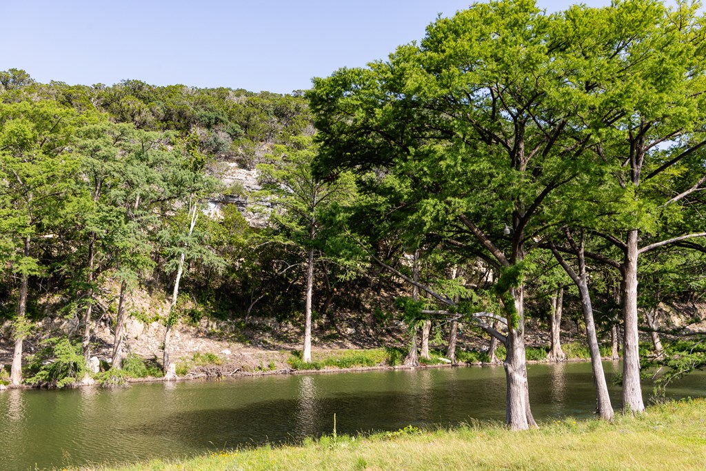 174 Cedar Rock Trail Hunt TX 78024