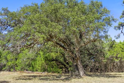 1151 Fawn Valley Drive Canyon Lake TX 78133