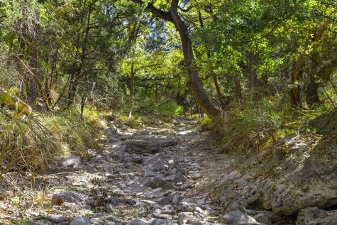 1151 Fawn Valley Drive Canyon Lake TX 78133