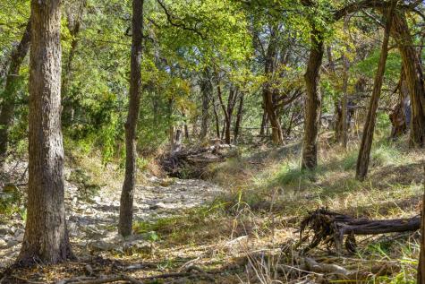 1151 Fawn Valley Drive Canyon Lake TX 78133