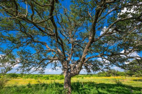 0 County Road 106 Castell TX 76831