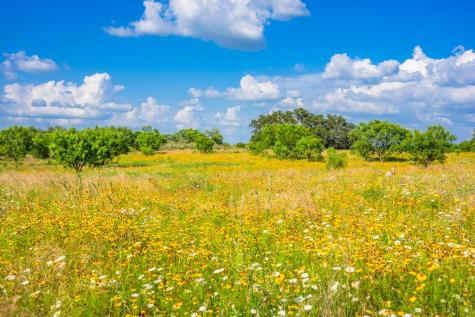 0 County Road 106 Castell TX 76831