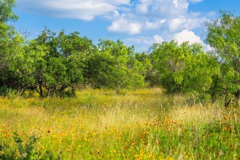 0 County Road 106 Castell TX 76831