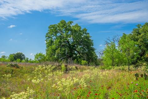 13315 N State Highway 16 Llano TX 78643