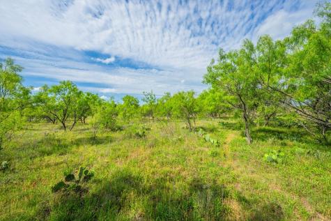 13315 N State Highway 16 Llano TX 78643