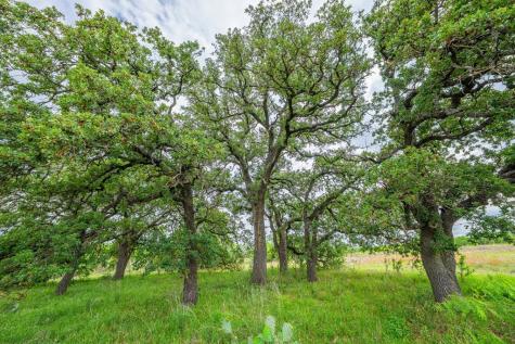 13315 N State Highway 16 Llano TX 78643