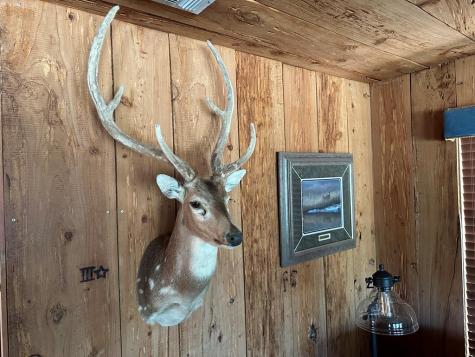 215 70l Road Junction TX 76849