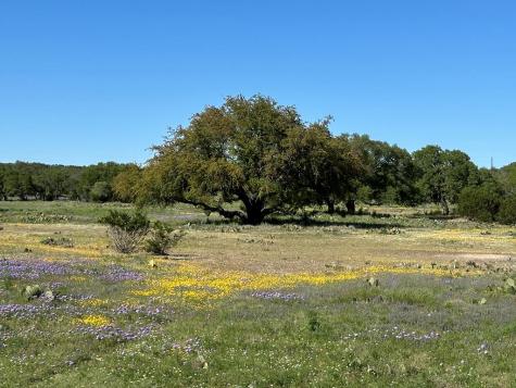 215 70l Road Junction TX 76849