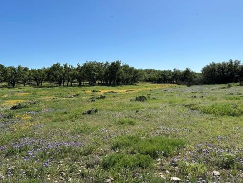 215 70l Road Junction TX 76849