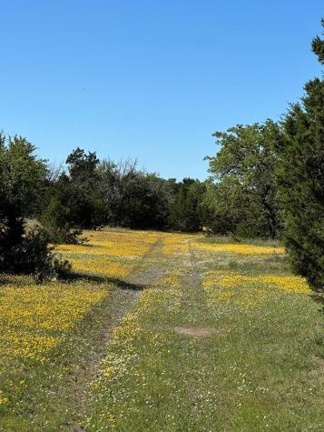 215 70l Road Junction TX 76849