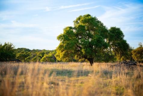 2873 Ranch Road 1888 Fredericksburg TX 78624