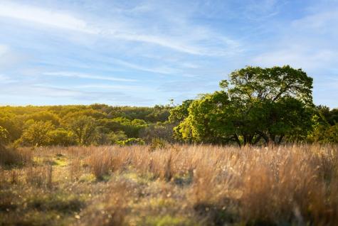 2873 Ranch Road 1888 Fredericksburg TX 78624