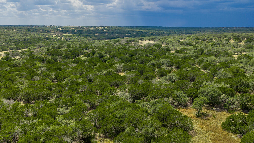 Junction TX 76849