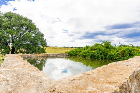 Junction TX 76849