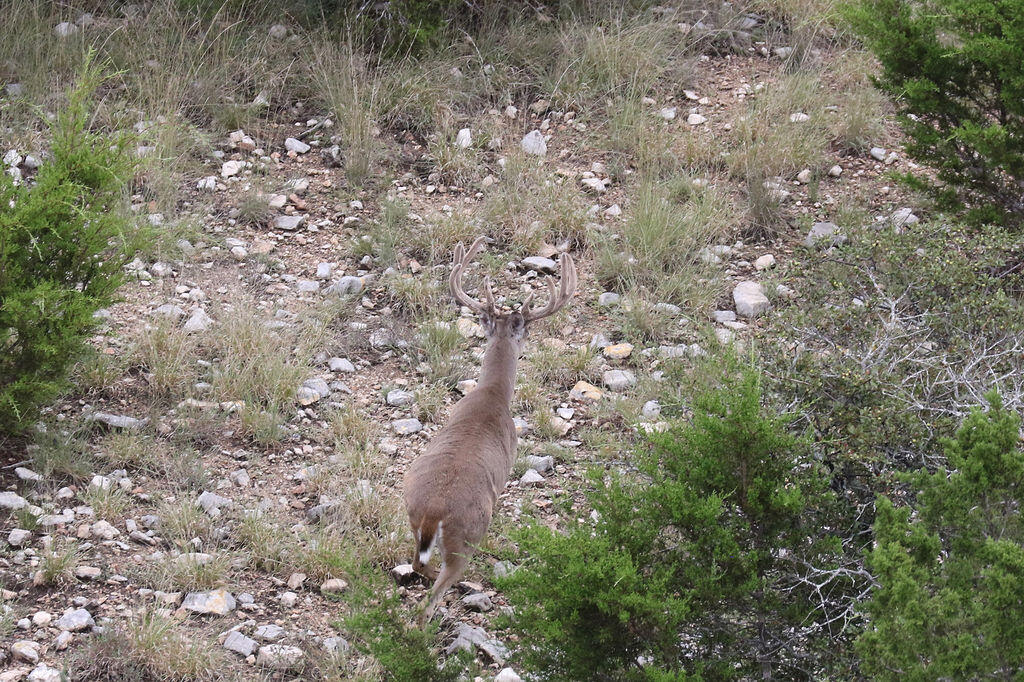 Junction TX 76849