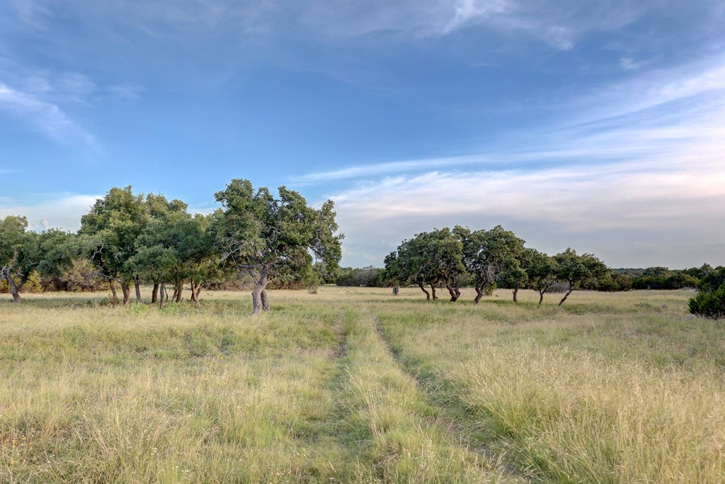 2998 W Back Country Road Menard TX 76849