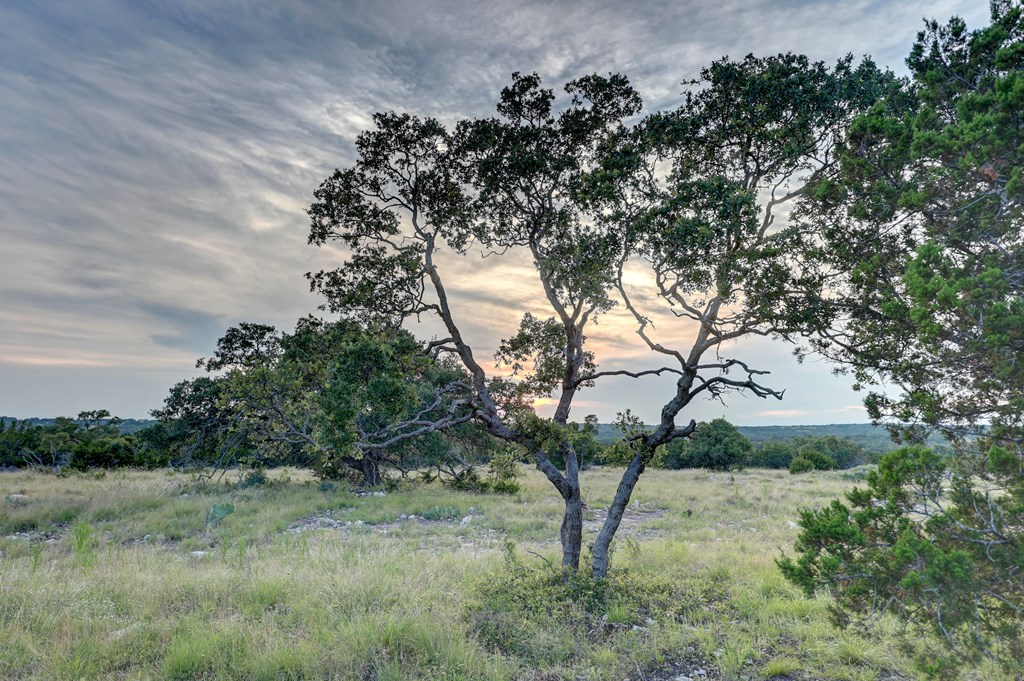 2998 W Back Country Road Menard TX 76849