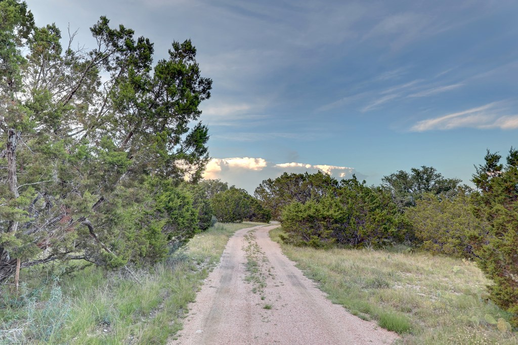 2998 W Back Country Road Menard TX 76849