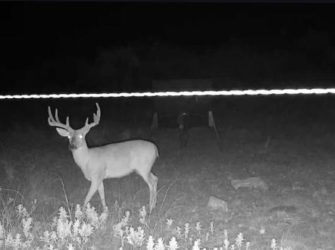 701 County Road 496 Goldsboro TX 79519