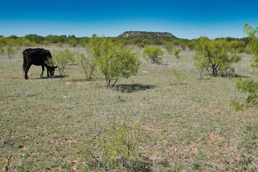 2303 Streeter Lane Mason TX 76856
