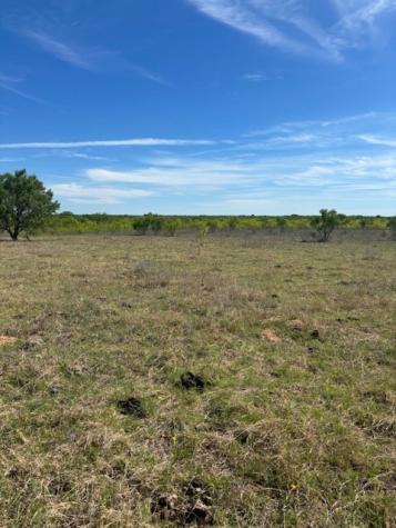2303 Streeter Lane Mason TX 76856