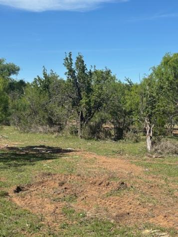 2303 Streeter Lane Mason TX 76856