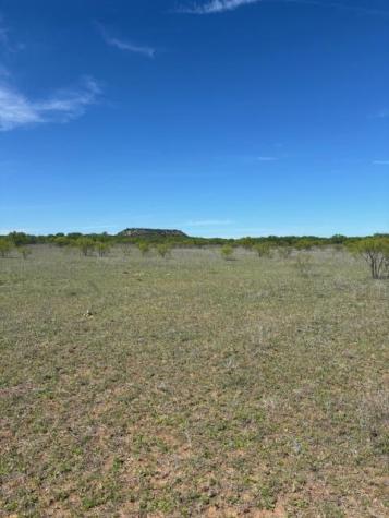 2303 Streeter Lane Mason TX 76856