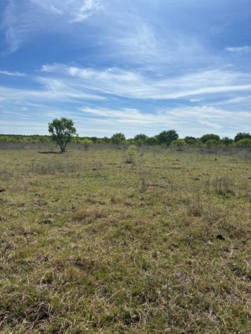 2303 Streeter Lane Mason TX 76856