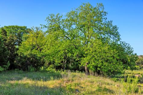 2199 Langes Mill Road Doss TX 78618