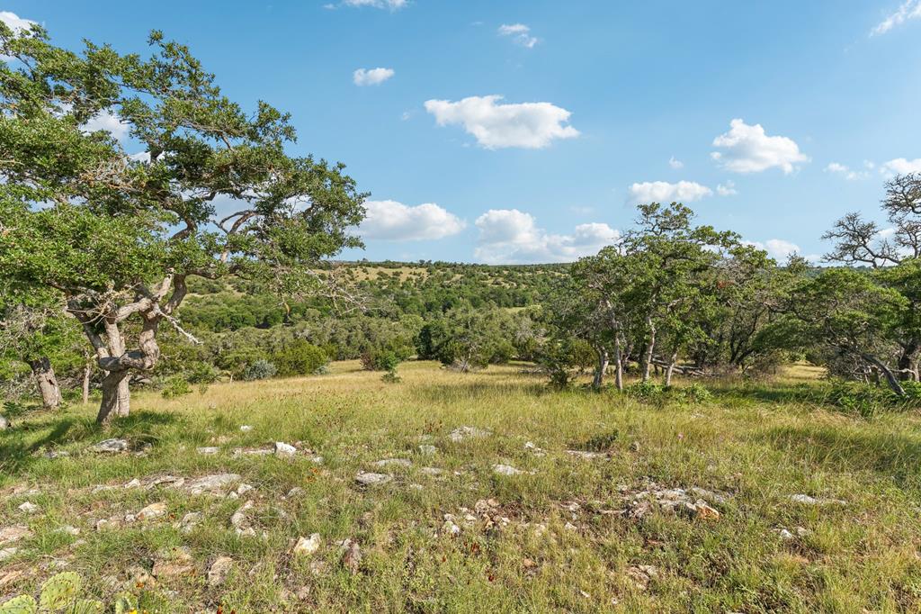 00 S Old Comfort Road Fredericksburg TX 78624