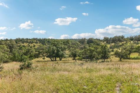 00 S Old Comfort Road Fredericksburg TX 78624
