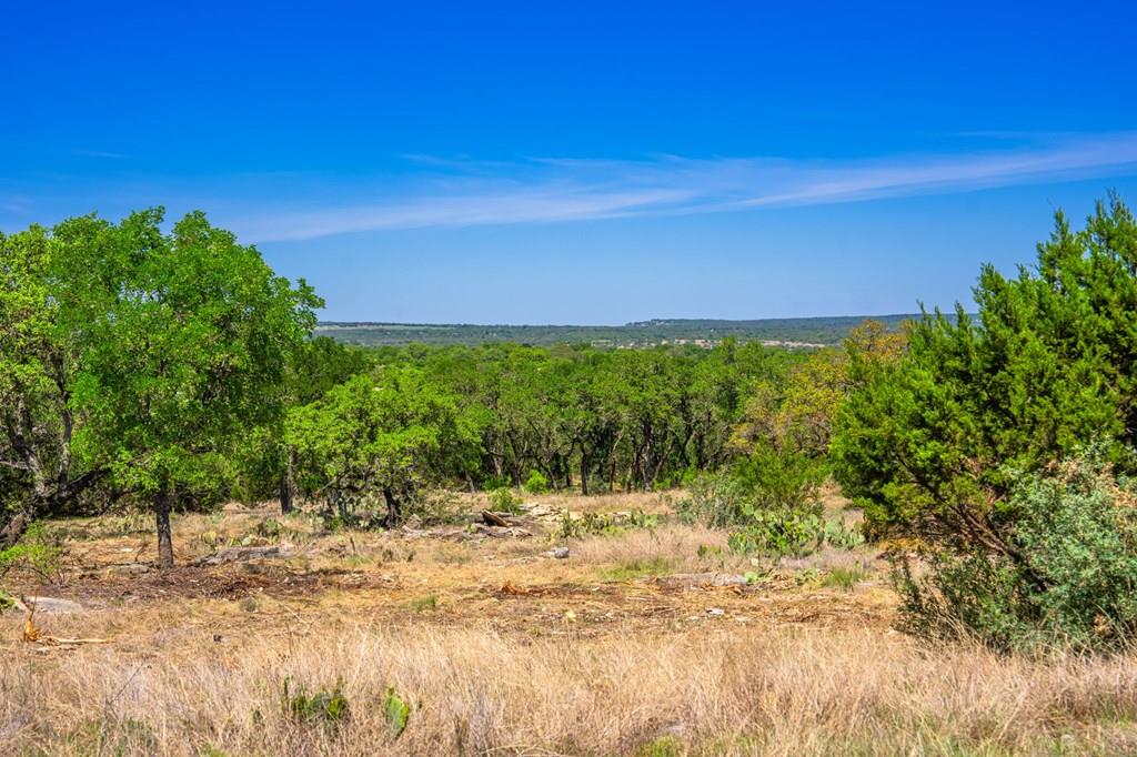 853 Elm Ridge Road Fredericksburg TX 78624