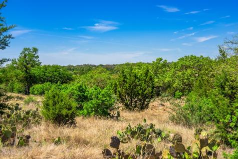 853 Elm Ridge Road Fredericksburg TX 78624
