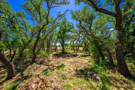 853 Elm Ridge Road Fredericksburg TX 78624