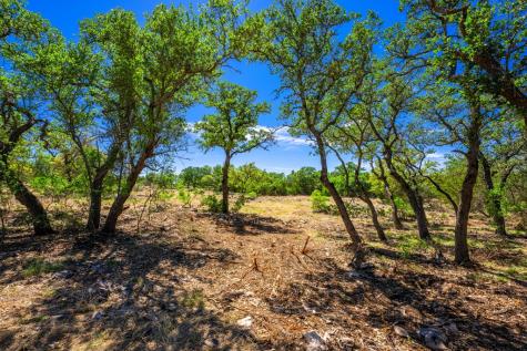 853 Elm Ridge Road Fredericksburg TX 78624