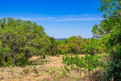 853 Elm Ridge Road Fredericksburg TX 78624