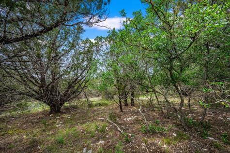 195&200 Countless Views Drive Kerrville TX 78028