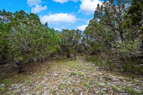 195&200 Countless Views Drive Kerrville TX 78028
